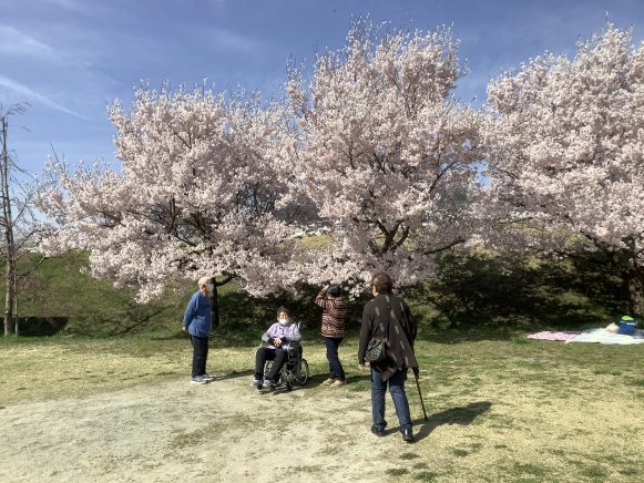 【原村】桜満開！デイでお花見へレッツゴー‼